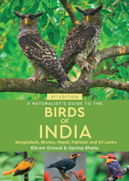 A Naturalists Guide To The Birds Of India Veldshop Nl