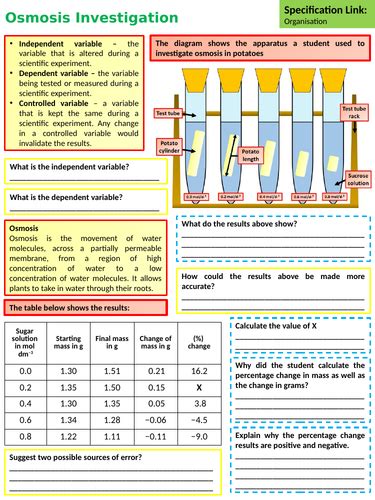 Ks4 Aqa Gcse Biology Science Osmosis Lesson Teaching Resources