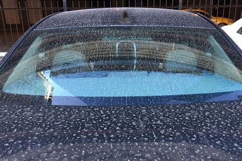 Acid Rain Damage On Cars