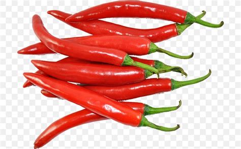 Guntur Capsicum Annuum Kashmiri Cuisine Indian Cuisine Chili Pepper