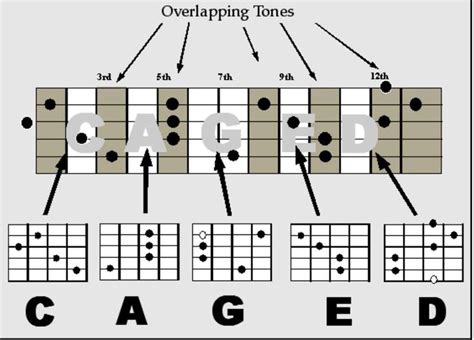 Beyond the CAGED guitar method learning instruction with SeeDEGA ...