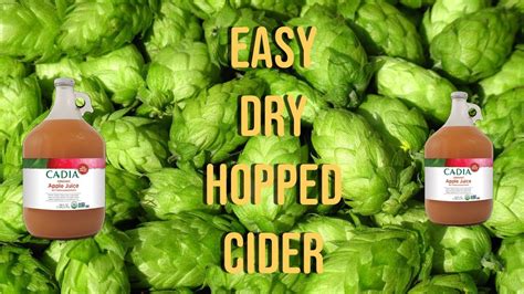 Easy Way To Make Dry Hopped Cider Brew Insight