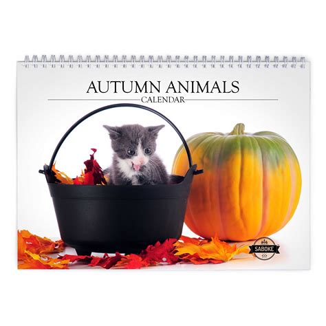 Autumn Animal 2026 Wall Calendar