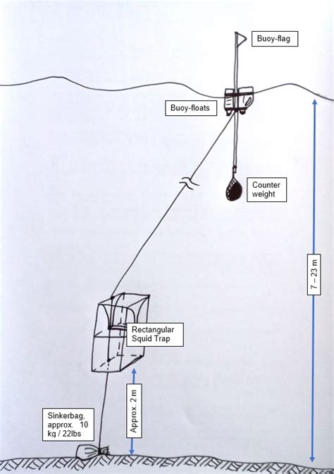 Rectangular Squid Traps In Thailand Bushguide 101