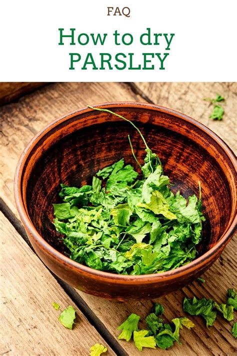 How To Dry Parsley