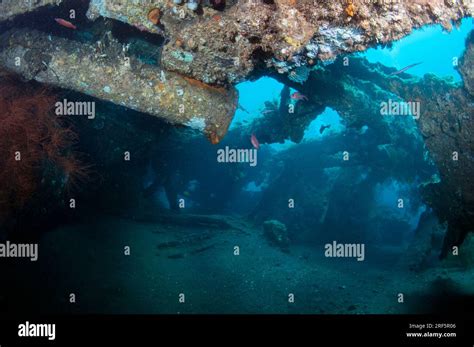 Inside USAT Liberty Ship Liberty Wreck Dive Site Tulamben