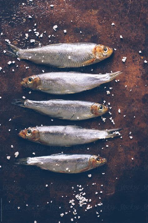 Sea Fish And Sea Salt By Stocksy Contributor Helen Rushbrook Stocksy