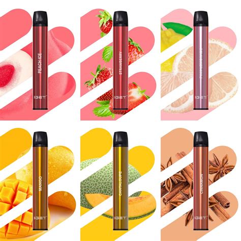 Original Iget Shion Disposable Pod Vape Pen Starter Kit 600puffs 2 4ml