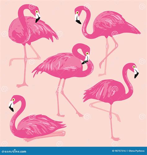 Vector Set With Pink Flamingos Hand Drawn Illustration Stock Vector