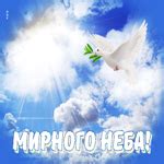 Неповторимая открытка с голубем Мирного неба- Скачать бесплатно на ...