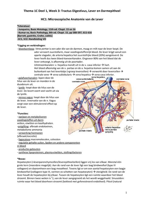 Aantekeningen C Stoornissen In Voeding Metabolisme En Hormonale