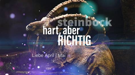 Steinbock Liebe April Mai Hart Aber Richtig Youtube