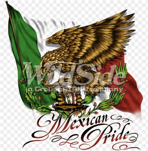 mexican pride PNG image with transparent background | TOPpng