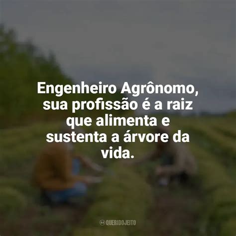 Engenheiro Agrônomo sua profissão é a raiz que alimenta e sustenta a