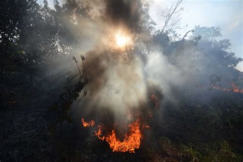 MS declara Estado de Emergência Ambiental e queimas controladas ficam