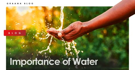 Importance Of Water Sources Benefits And More