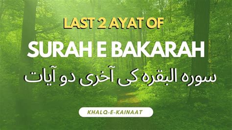 Surah Al Baqarah Last 2 Ayaat Last 2 Verses Surat Baqarah Ki Aakhri