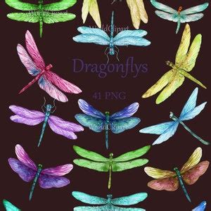 Dragonflys Png Dragonfly Watercolor Digital Dragonflys Dragonfly