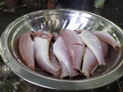 Red Snapper Fish in Steel Bowl, Chennai, India - Nov 13, 2022 Stock ...