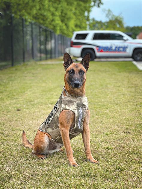 Opelika Police Departments K9 Bane Has Received Donation Of Body Armor