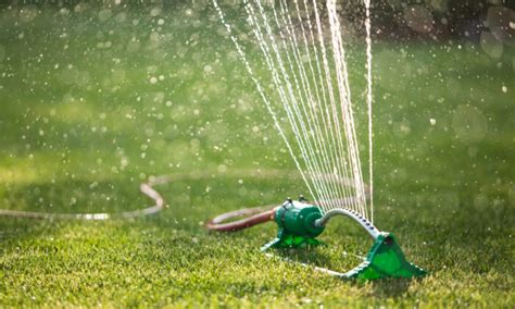 How To Properly Water Your Lawn The Epoch Times