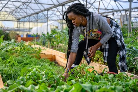 Women Who Farm Africa Keep Calm African Women Will Feed The World