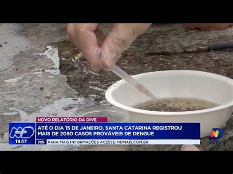 Alerta epidêmico Santa Catarina registra mais de 2 050 casos de dengue