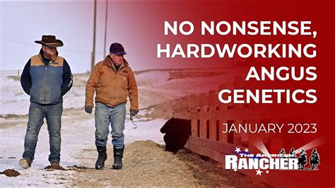 No Nonsense Hardworking Angus Genetics The American Rancher YouTube