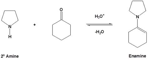 Enamine Reactions Chemistry Libretexts