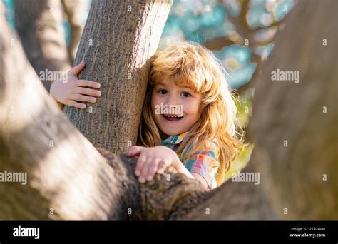 Childhood Leisure Happy Kids Climbing Up Tree And Having Fun In Summer