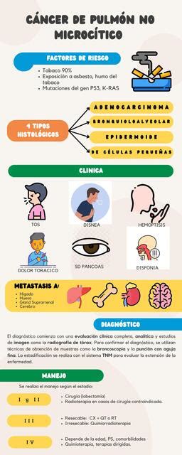 Infografia Cancer De Pulmon No Microcitico Nilson Udocz