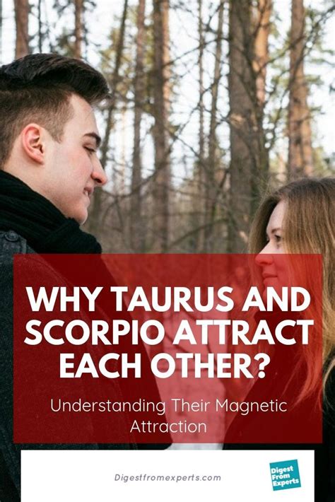 Why Taurus And Scorpio Attract Each Other Understanding Their Magnetic Attr Taurus And