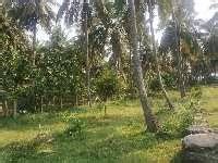 Agricultural Land 1 Acre For Sale In Kongad Palakkad REI1170131