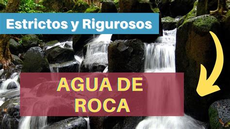 Descubre Los Beneficios Del Agua De Roca En La Terapia Floral De Bach