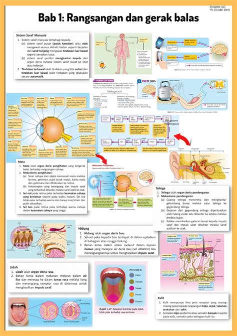 Nota Bab 8 Sains Tingkatan 3