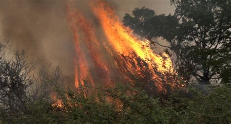 05 01 2023 Incendio en zona rural de Santa Lucía se encuentra