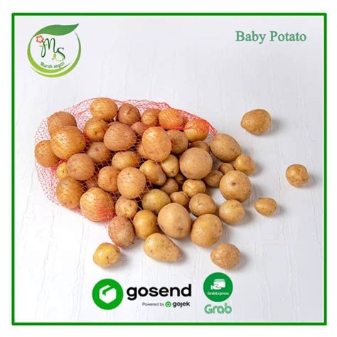 Kentang Rendang Baby Potato Kentang Kecil 1 Kg Lazada Indonesia