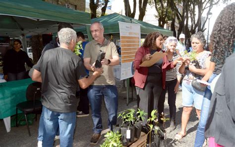 Prefeitura de Barra Mansa realiza mutirão para encerrar Semana do Meio