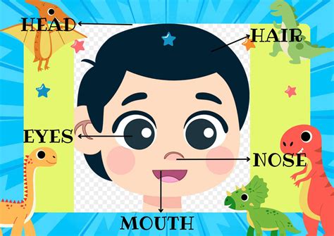 Partes De La Cara En Ingles Para Ni Os Rompecabezas En L Nea