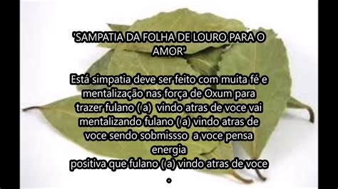 Simpatia Da Folha De Louro Para O Amor Youtube