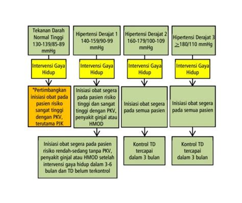 Memahami Tata Laksana Penyakit Hipertensi