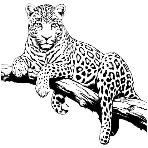 Premium Vector Leopard Lying On A Tree Branch Line Art Ai Generated