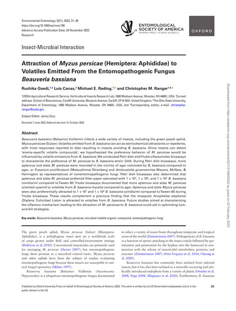 Pdf Attraction Of Myzus Persicae Hemiptera Aphididae To Volatiles