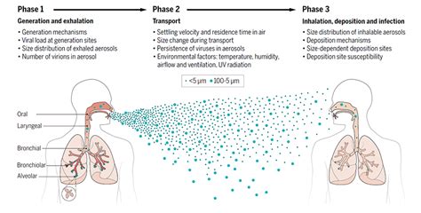 Airborne Transmission Of Covid American Council On Science And Health