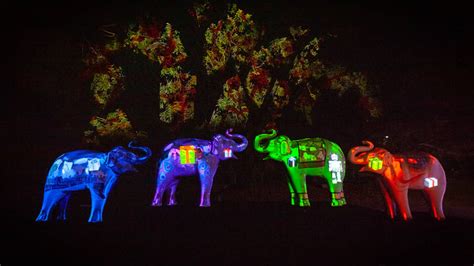 LA Zoo Lights | Things to do in Los Angeles