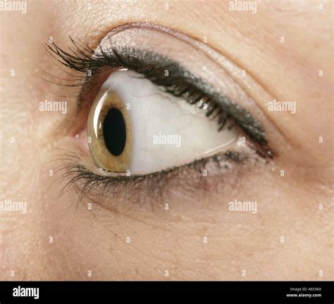 Profile Close Up Of A Woman S Eye Stock Photo Alamy