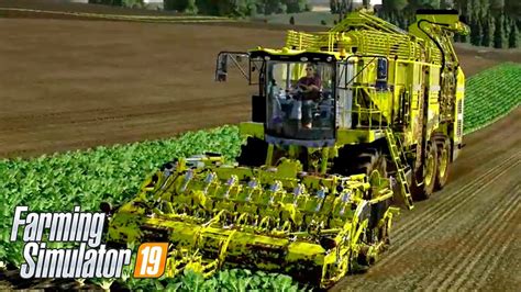 FINALIZANDO A COLHEITA DE BETERRABA Farming Simulator 19 Evolução