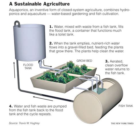 Earthwatch Hydroponics Aquaculture Aquaponics