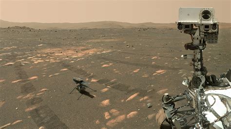 Nasas Perseverance Mars Rover Snaps A Selfie With The Ingenuity