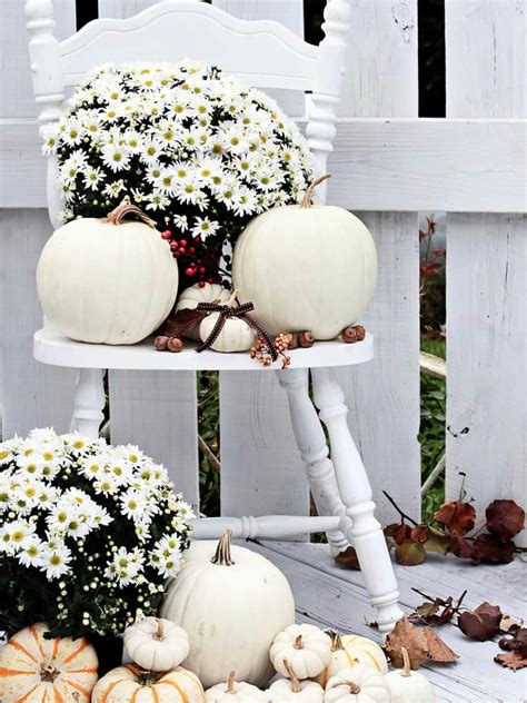 Charming White Pumpkin Fall Decorations For A Festive Dinner